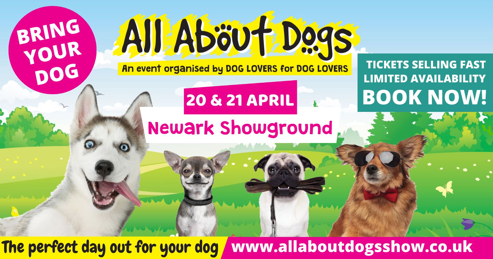 All About Dogs Show Newark 2024. Newark Showground 20 April 2024